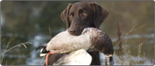 Outdoor Sportsman