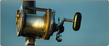 Reels