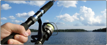 Rods 
