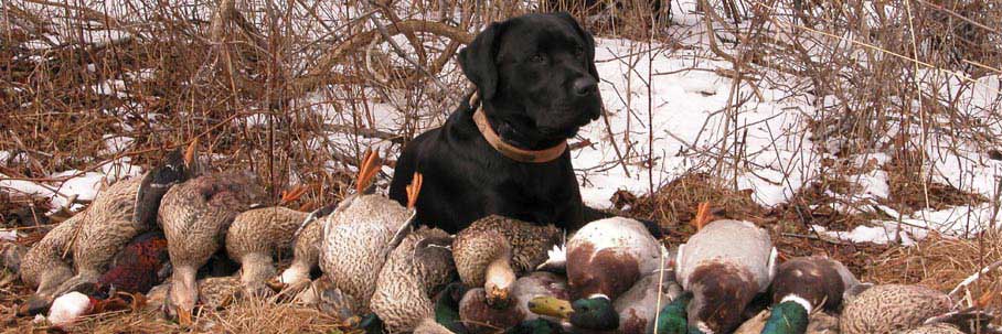 Outdoor Sportsman Outdoor Sportsman